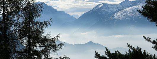 在线手机号轰炸网页版