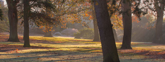 在线手机号轰炸网页版
